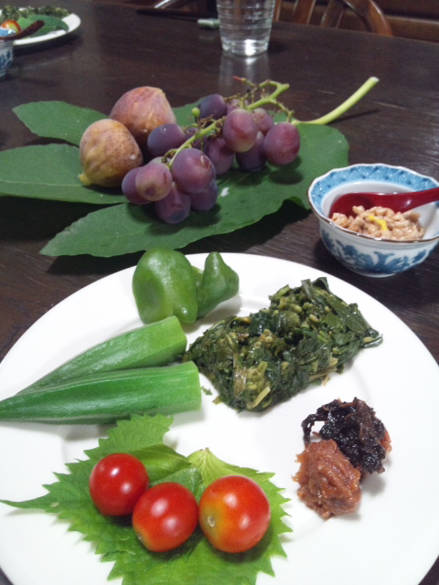肥料 野菜 くず