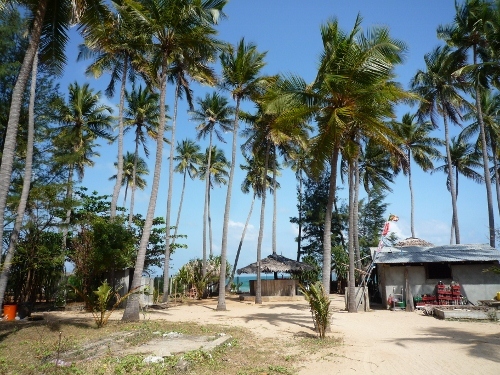 o0500037511793497800.jpg