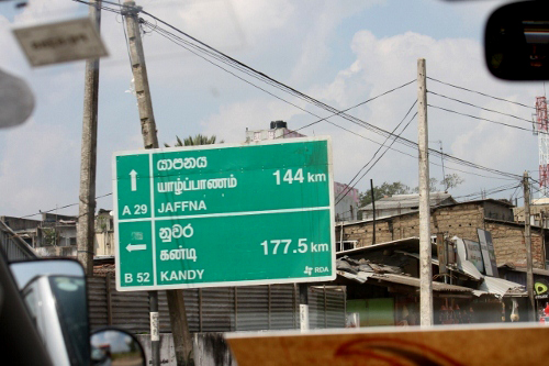 o0500033311799552548.jpg