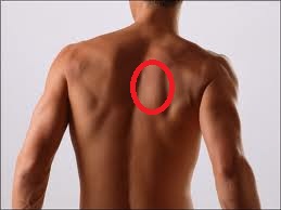 の 右側 痛み 背中 背中の痛みの原因は？【左側・右側・肩甲骨】で違う病気と症状！