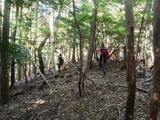 羅臼岳山頂