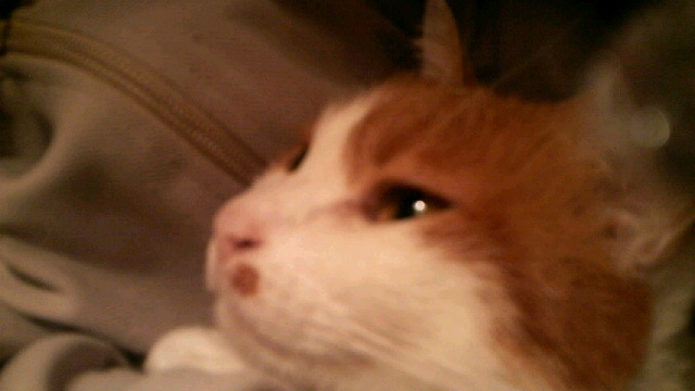 2009011906180000.jpg