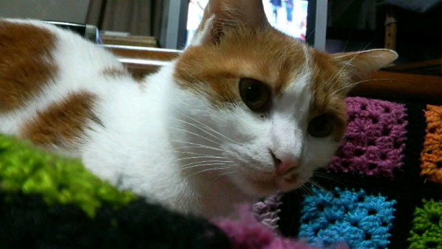 2009011617470001.jpg