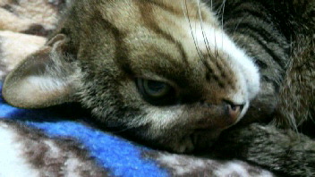 2009040321590000.jpg