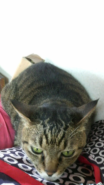 2009050814580000.jpg