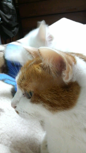 2010011805420000.jpg