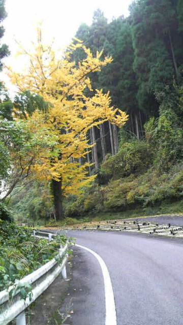 2010111412290000.jpg