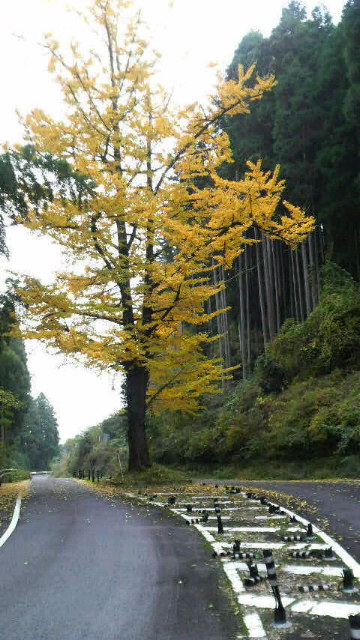 2010111412300000.jpg