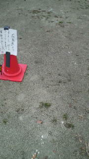 2012010714160000.jpg