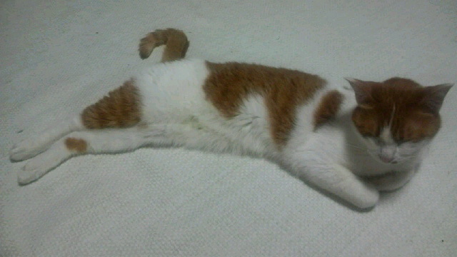 2011060222410001.jpg