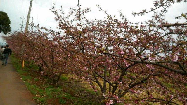 2012031816030000.jpg