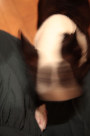 0706_3