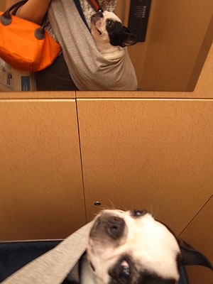撮った?
