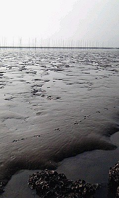 150104_1442~010002.jpg