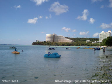 グアムの海岸