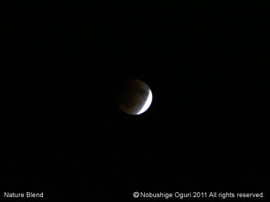 皆既月食23-03.jpg