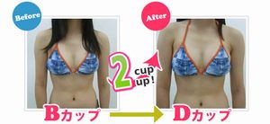 芸能事務所も採用している自宅で簡単に出来るバストアップ豊胸法『B-UPガールズ』-体験者の写真