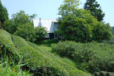 岸田真理子2010年5月個展会場