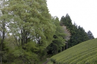 岸田真理子2010年5月個展会場