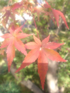 DSC_1124.jpg