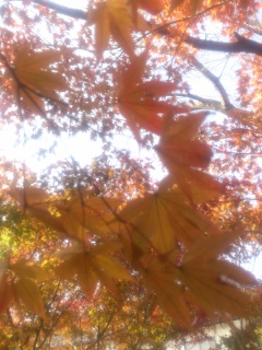 DSC_1117.jpg