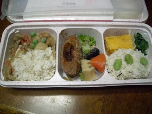 Wodishお試し02