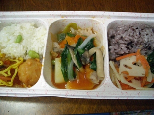 Wodishお試し05