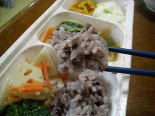 Wodishお試し06