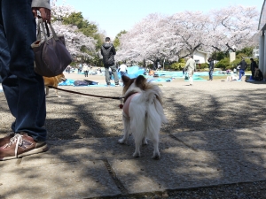 P1020287.JPG