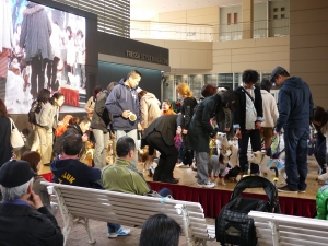 P1020416.JPG