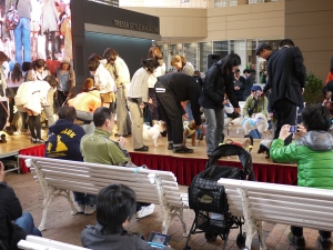 P1020417.JPG