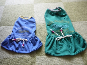 P1020736.JPG