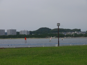P1030696.JPG