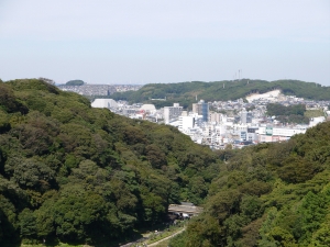 P1030944.JPG