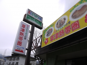 P1040552.JPG
