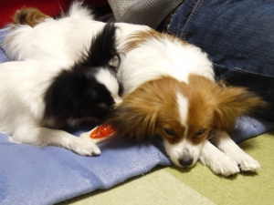 P1050304.JPG