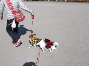 P1050643.JPG