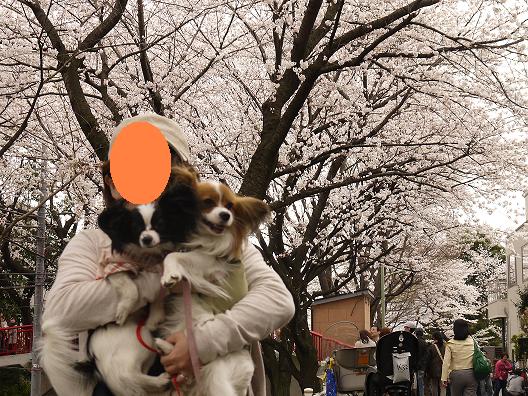 2わんずと.JPG