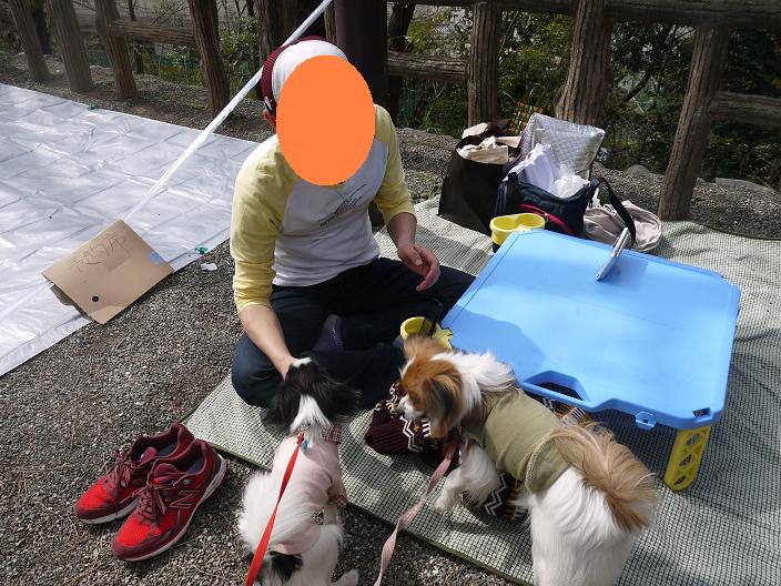 パパと2わんず.JPG