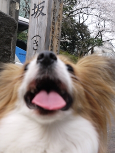 P1060416.JPG