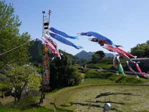 P1060863.JPG