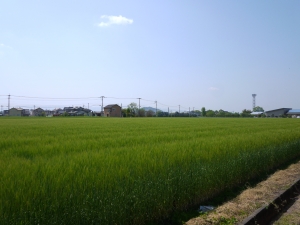 P1070063.JPG