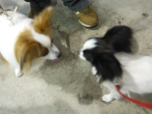 P1070183.JPG