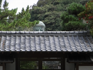 RIMG0181.JPG