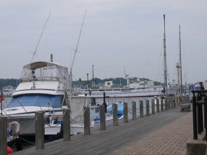 P1070343.JPG