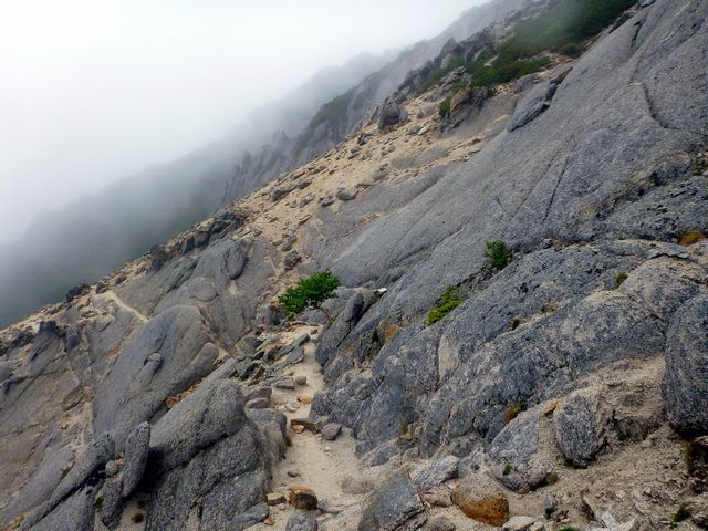 北沢峠からの登山道