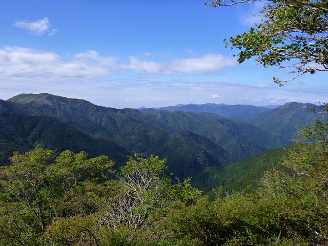 矢筈山