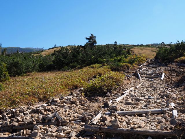 登山道薬師岳
