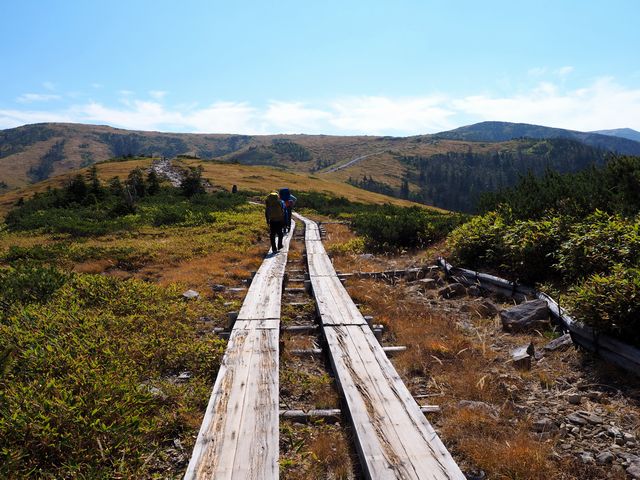 薬師岳登山道