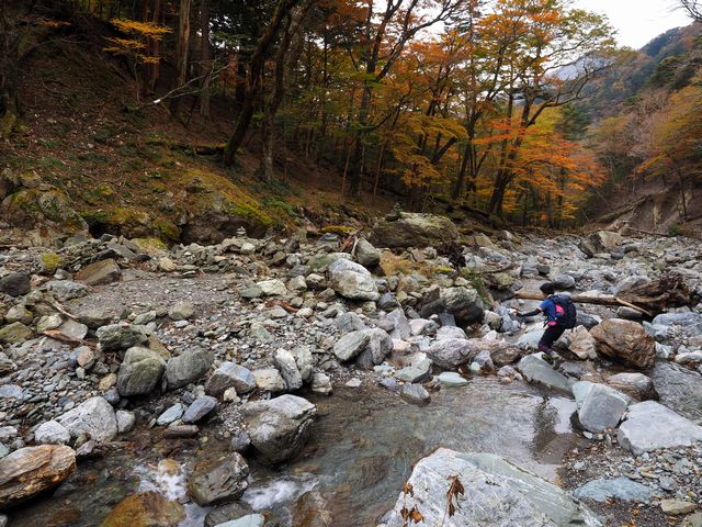 さおりが原分岐渡渉点